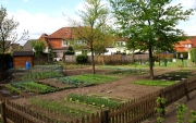 Garten08_Garten_angelegt