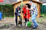 Garten10_und_pflanzen_wir_ein_Apfelbäumchen_Umweltministerin_Hendricks