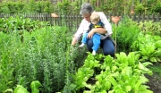 Garten11_Rentnerin_mit_Enkel_beim_Gärtnern
