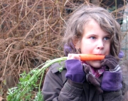 Garten12_Möhrentest_bei_Schulführung
